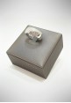 Pesavento silver ring Elegance collection WELGA006.M